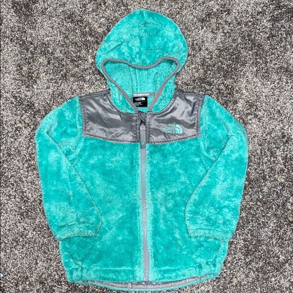 Turquoise Northface